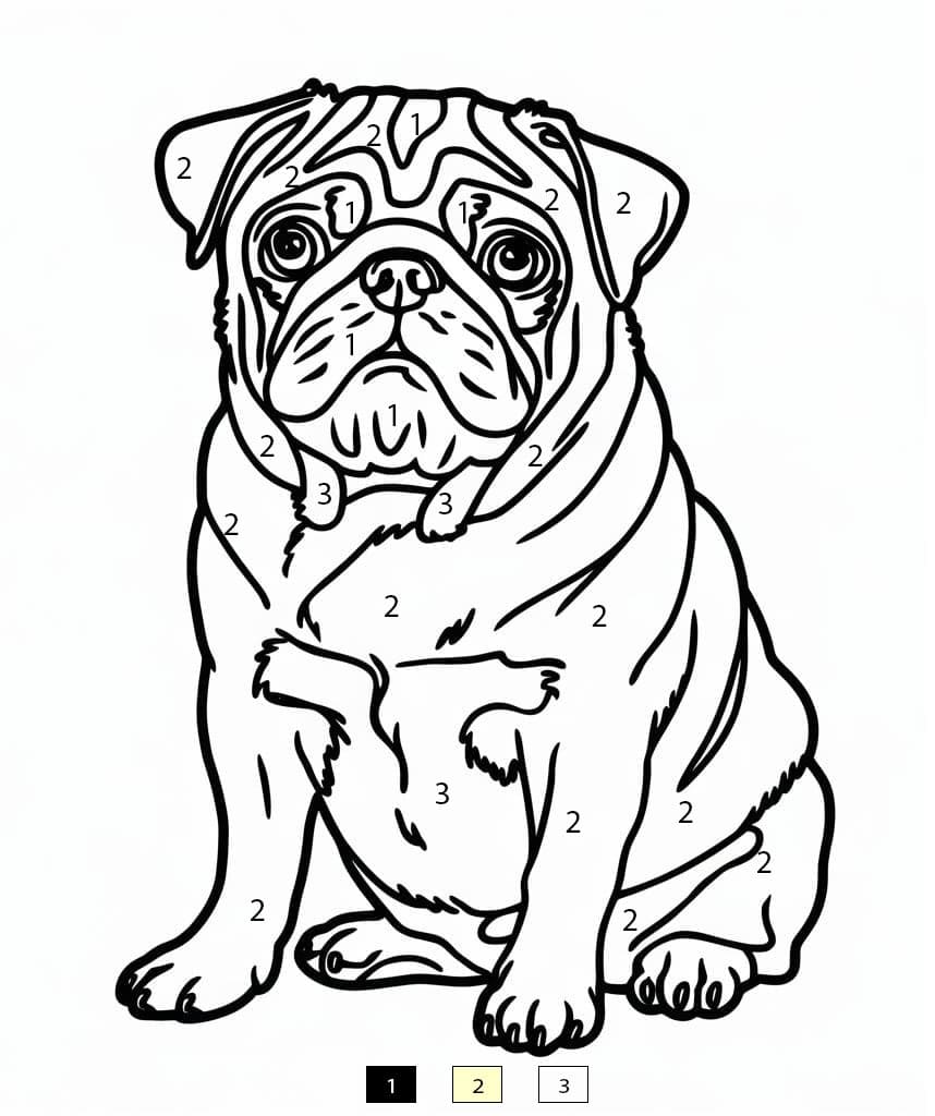 Carlin joueur Coloriage Magique