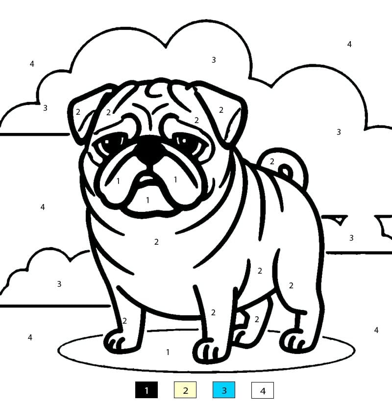 Carlin rigolo Coloriage Magique