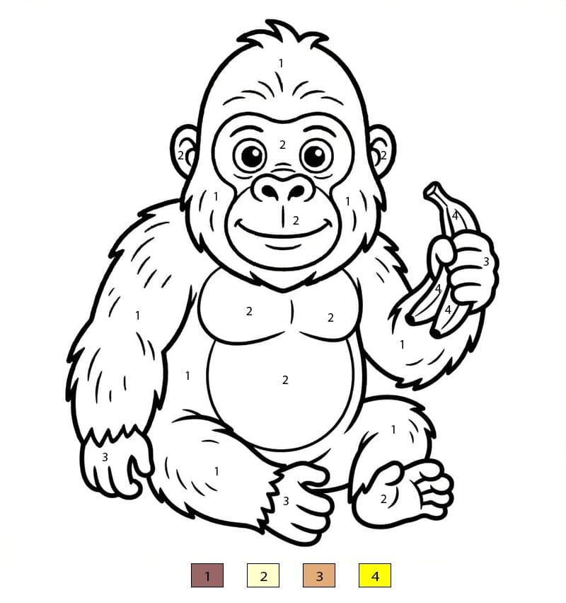Gorille curieux Coloriage Magique