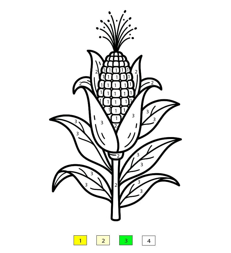 Maïs bio Coloriage Magique