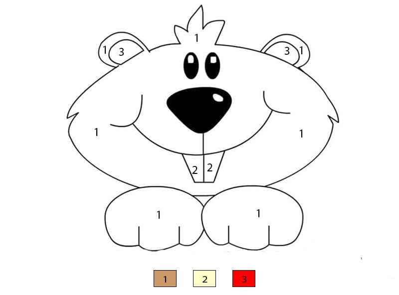 Marmotte adorable Coloriage Magique