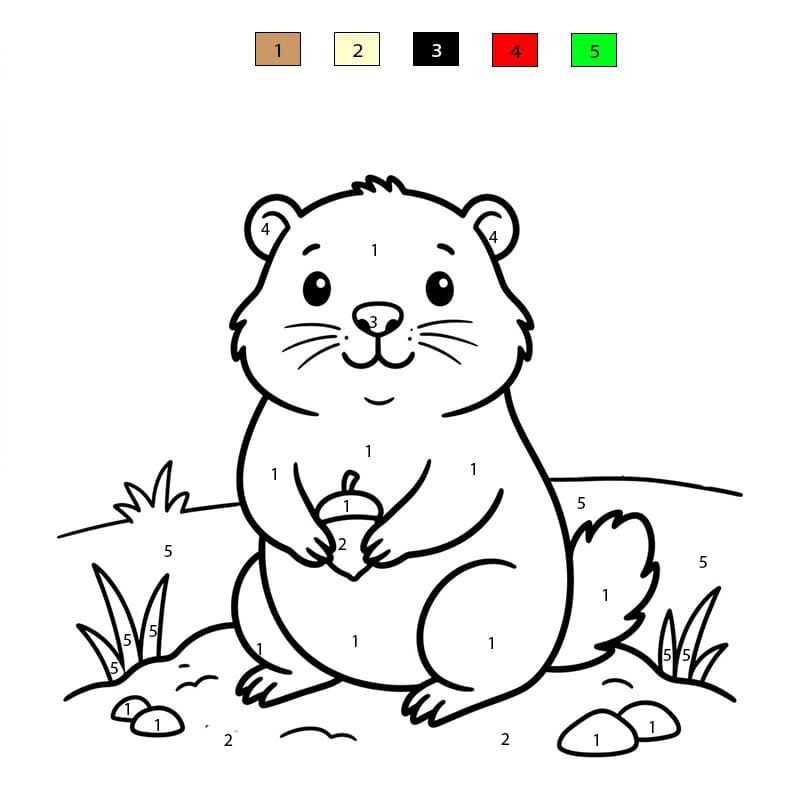 Marmotte charmante Coloriage Magique