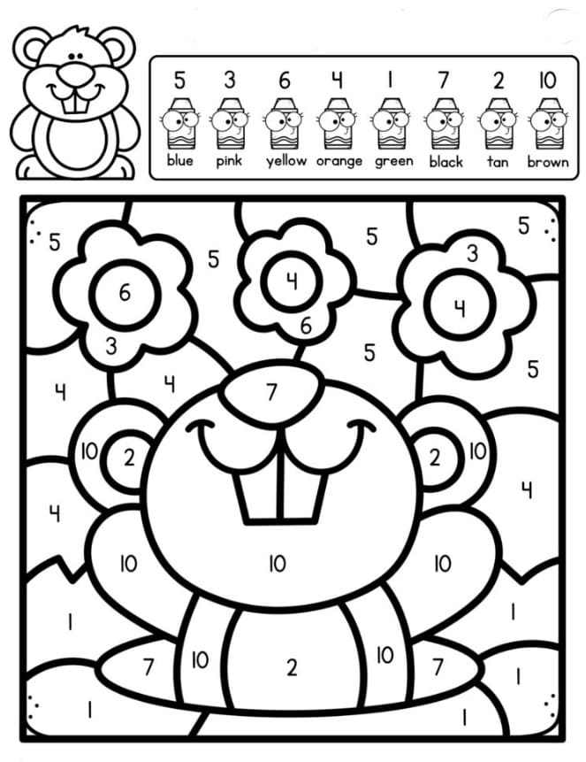 Marmotte espiègle Coloriage Magique