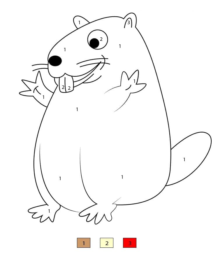 Marmotte forestière Coloriage Magique