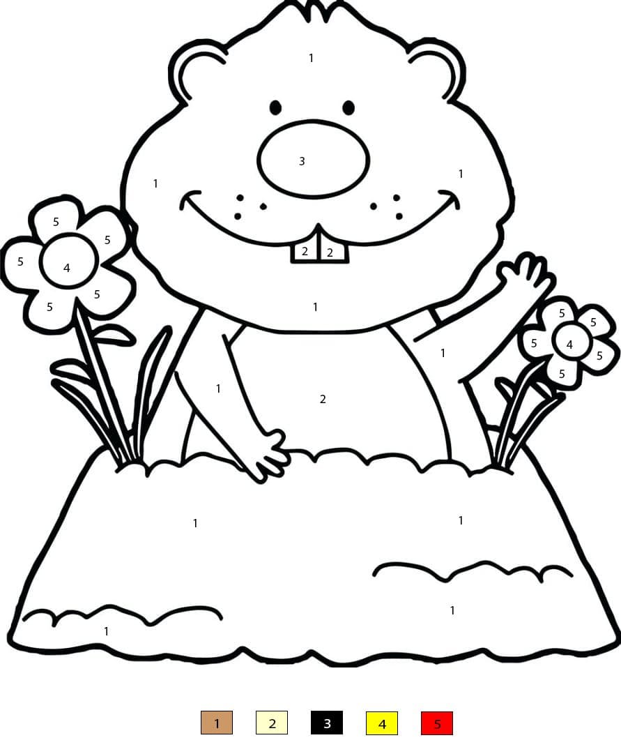 Marmotte mignonne Coloriage Magique
