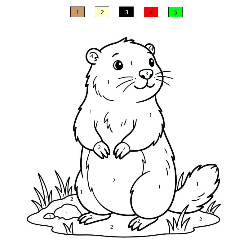 Coloriage Magique Marmotte