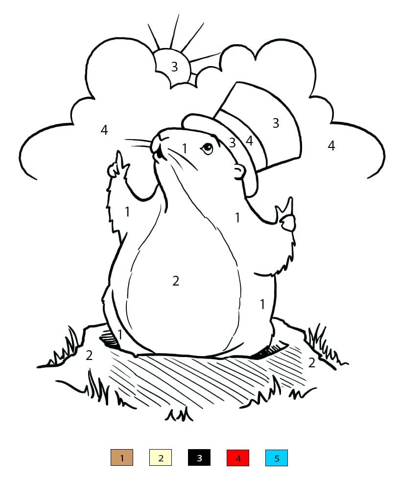 Marmotte rigolote Coloriage Magique