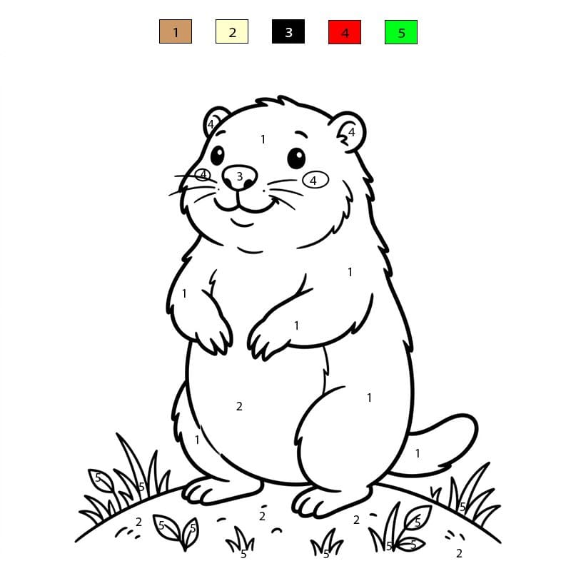 Marmotte tranquille Coloriage Magique