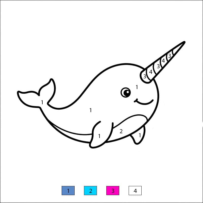 Narval rêveur Coloriage Magique